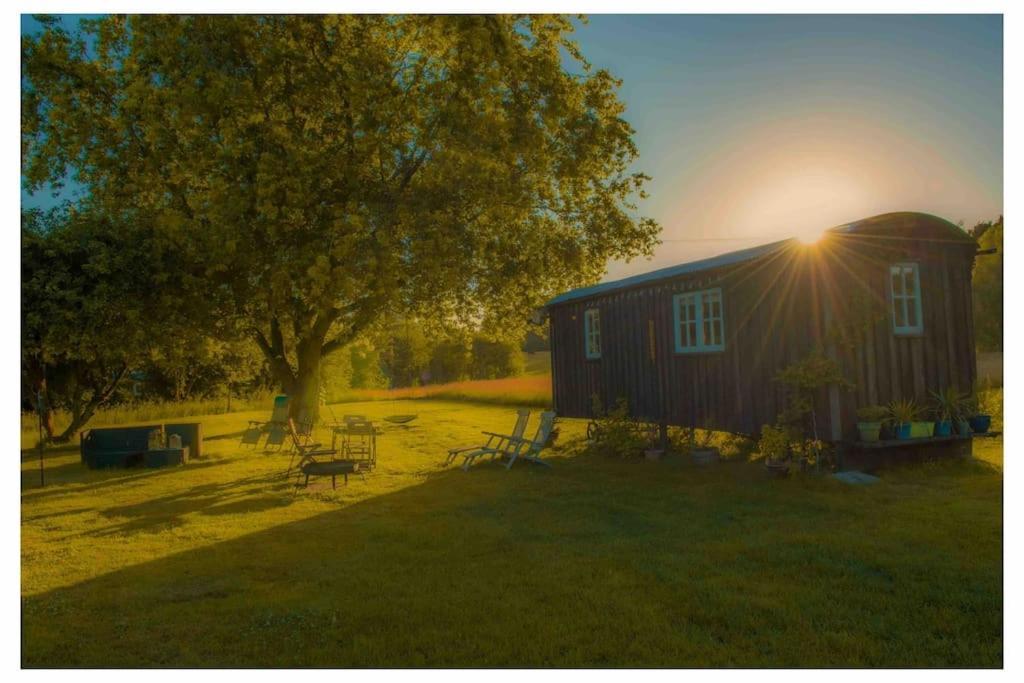 Mountbatten Shepherds Hut & Buckhurst Shepherds Hut Ashford  Extérieur photo