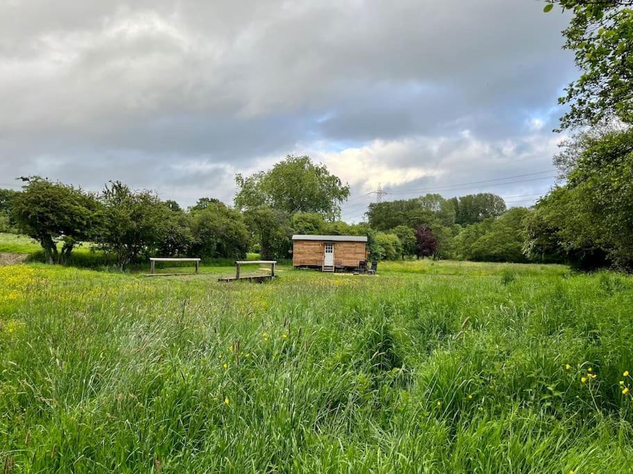 Mountbatten Shepherds Hut & Buckhurst Shepherds Hut Ashford  Extérieur photo