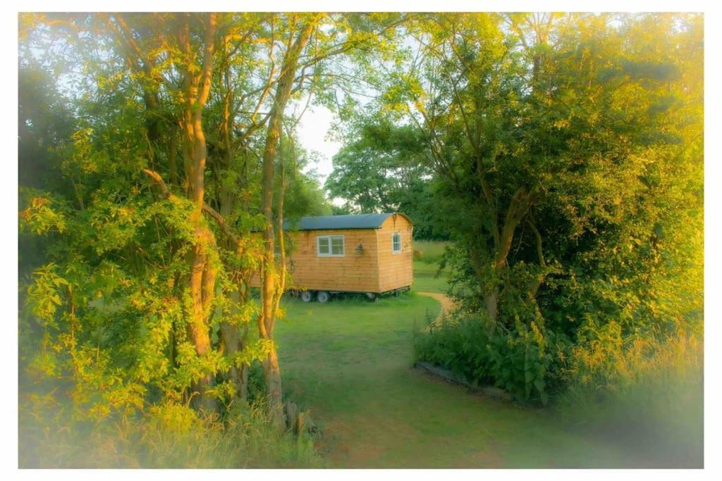 Mountbatten Shepherds Hut & Buckhurst Shepherds Hut Ashford  Extérieur photo