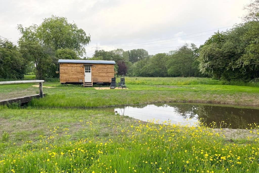 Mountbatten Shepherds Hut & Buckhurst Shepherds Hut Ashford  Extérieur photo