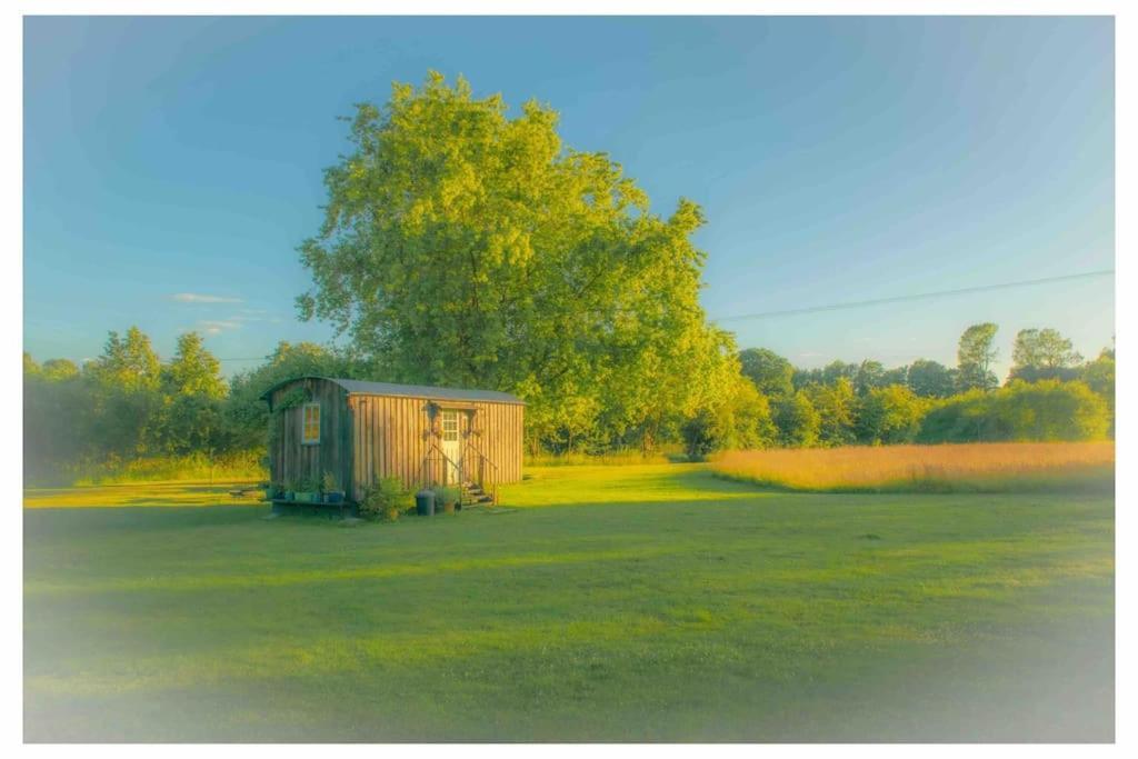 Mountbatten Shepherds Hut & Buckhurst Shepherds Hut Ashford  Extérieur photo