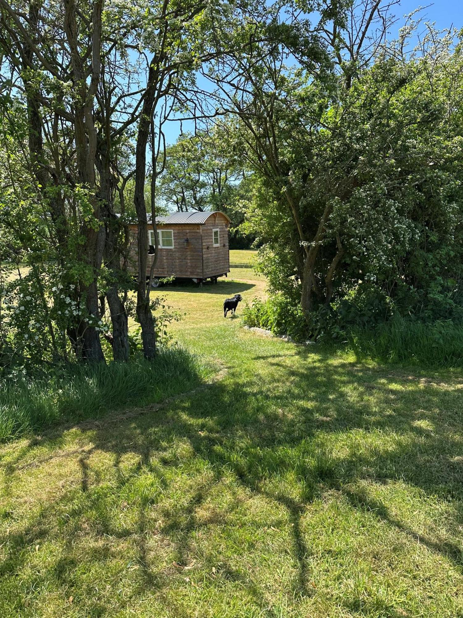 Mountbatten Shepherds Hut & Buckhurst Shepherds Hut Ashford  Extérieur photo